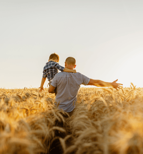 A father carrying his son in a golden field.