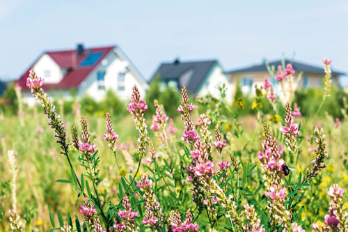 Gasversorgung Romanshorn AG