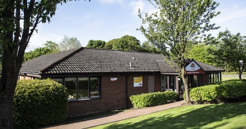 Busy Bees at Livingston - Quarrywood Court - Gallery Photo