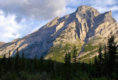 Rocky mountain peak under a partly cloudy sky, casting dramatic shadows on its rugged face. Tall pine trees in the foreground add a sense of depth.