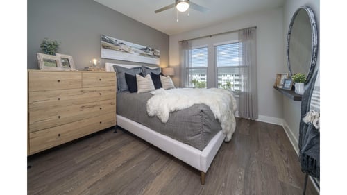 Apartments for rent in 33569