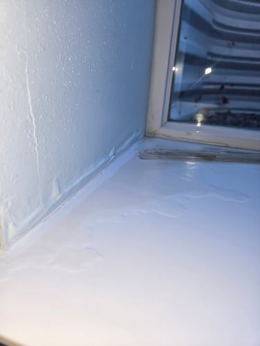 Winter Moisture Restoration 1 Reno-Tahoe