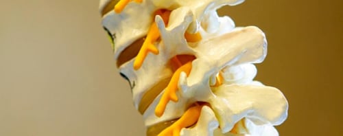 Praxis für Naturheilkunde und Osteopathie Basir