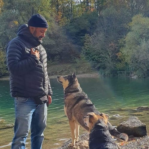 hundeschule münchen nord, hundetraining münchen nord, hundecoach münchen, welpentraining münchen, hundeschule für angsthunde münchen, hundeschule tierschutzhunde münchen