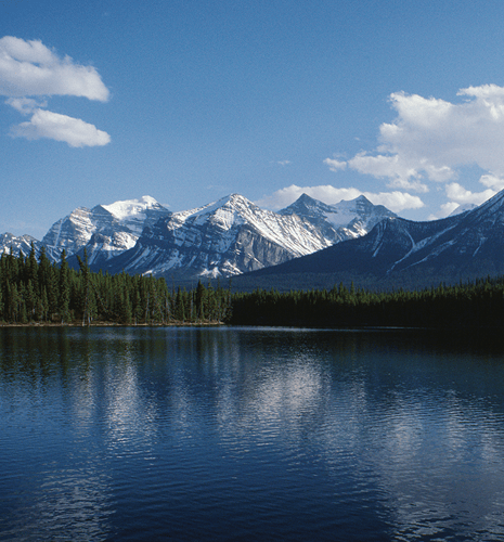 Snow-capped mountains under a clear blue sky reflect on a tranquil lake, bordered by a dense forest. The serene scene conveys peace and natural beauty.