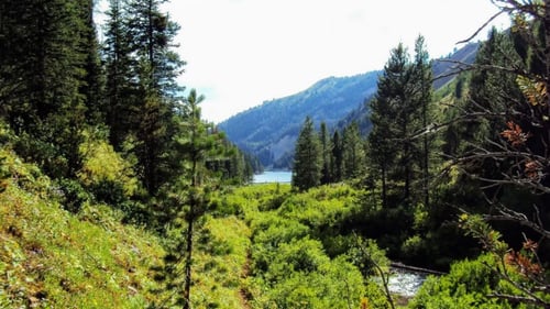 View of the Lake
