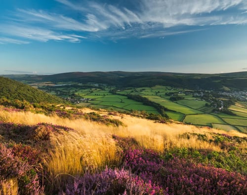 Kent Rural Land Agents banner image mobile
