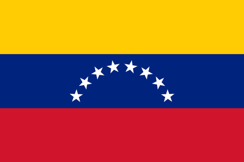 Venezuelan Flag