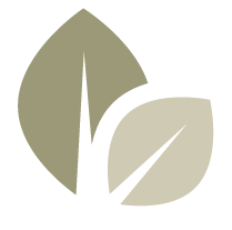 Simply Cremation of Middle Georgia Branding Element
765 Cherry St.
Macon, GA 31201