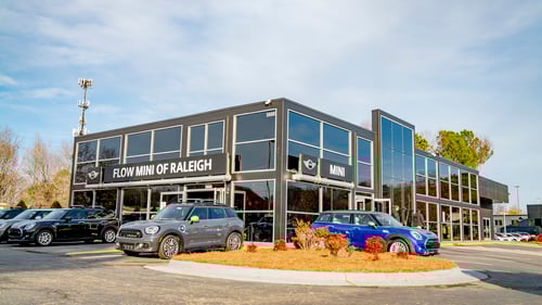 Flow MINI Raleigh
