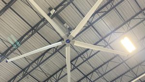 hvls fan