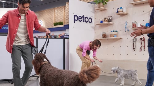 Two dogs with their pet parents at a group training class with there trainer.