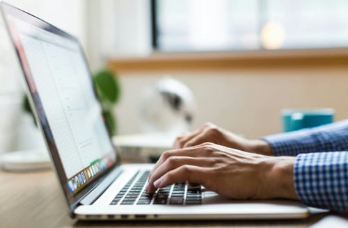 A person in a blue checkered shirt typing on a silver laptop near a bright window. A green plant and a blurred blue mug are in the background.