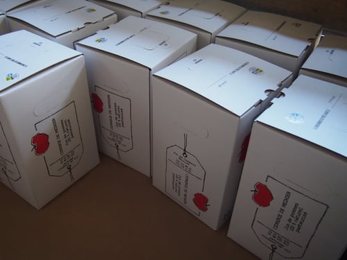 bag im box jus de pomme 5L