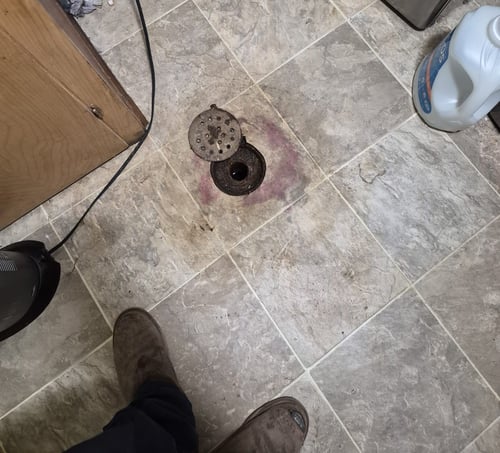 a bluefrog Plumber investigating a clogged floor drain