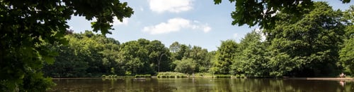 Knight Frank Wimbledon Estate Agents