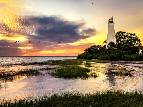 Fiber internet in Crawfordville, FL