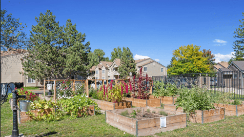 Flower and plant garden