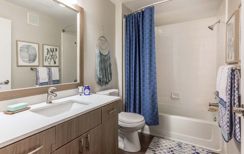 Bathroom at Legacy at Highlands Ranch Apartments with a bathtub and contemporary finishes.