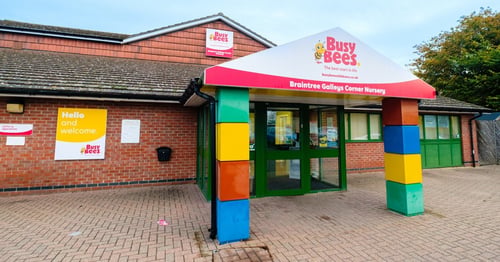 Busy Bees in Braintree - Gallery Photo