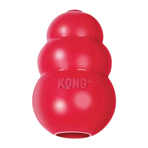 kong training toy