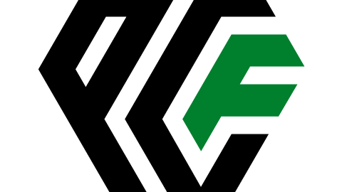 PCFürst Logo 2021
