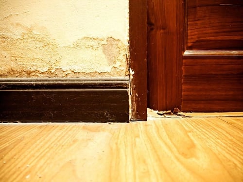 Water damage and peeling paint on baseboards and hardwood floors.