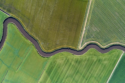 Aerial view of lush green fields divided by a winding river. The fields contrast in shades of green, creating a serene and picturesque landscape.