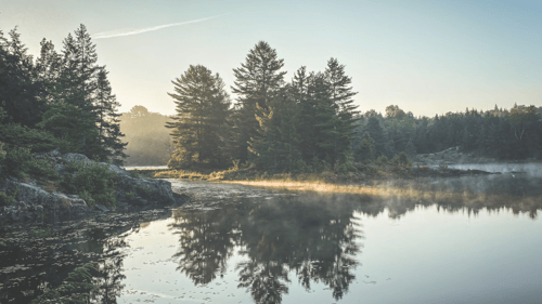 Calm lake with a misty surface reflecting evergreen trees under a clear sky. Soft morning light creates a serene and tranquil atmosphere.