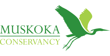 Muskoka Conservancy logo.