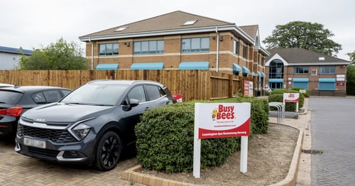 Busy Bees at Leamington Spa Queensway - Gallery Photo