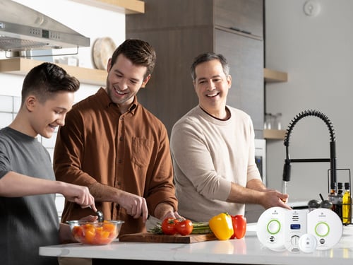 Two dads in the kitchen preparing a meal with their son.