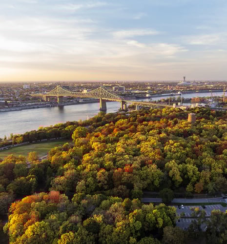 Aerial view of Jacques Cartier Bridge in Montreal during autumn sunset. Vibrant fall foliage in green, orange, and red covers the foreground.