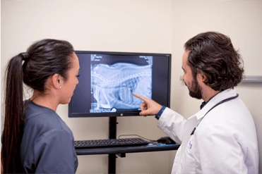 Full-Service Care at Petco