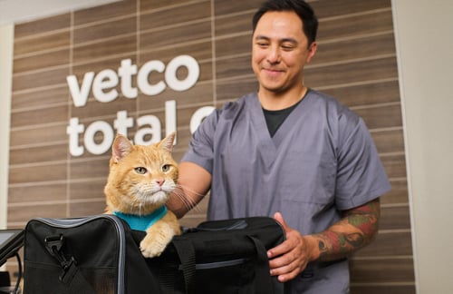 Cat with a veterinarian at Vetco Total Care