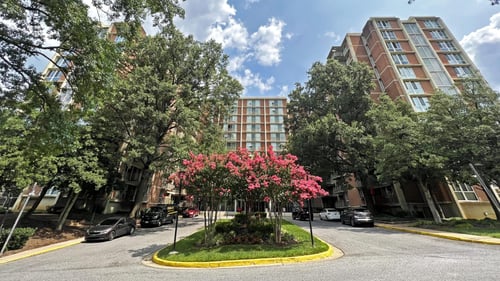 Google Cover Photo for the The Langston Views