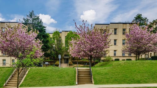 Park Crest in Washington D.C. 20007