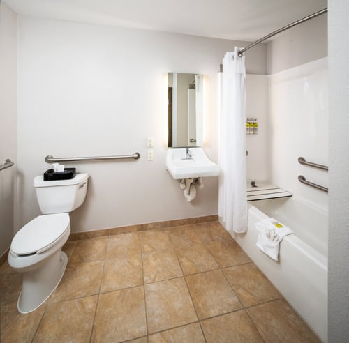 Accessible Bathtub with Grab Bars and adjustable showerhead