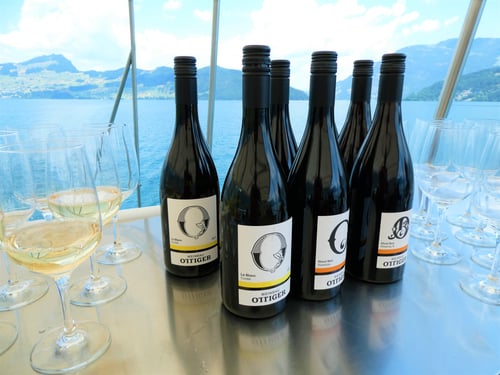 Private Schifffahrt mit Weinseminar und Käse