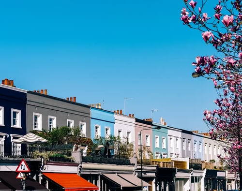 Knight Frank Notting Hill Lettings Agents - Notting Hill office Spring Blossom and colourful London townhouses