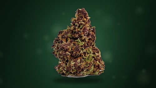Fiori CBD Purple Haze