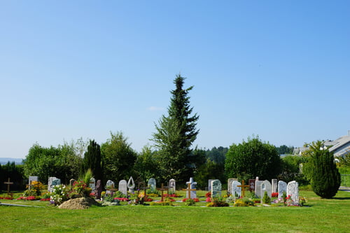 M&M Gartenbau AG