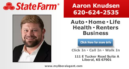 Aaron Knudsen - State Farm Insurance Agent (620) 624-2535