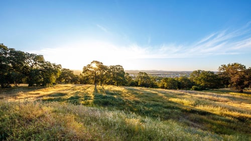Stunning views in Bickford, CA