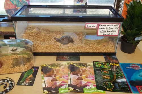 Prekindergarten Classroom