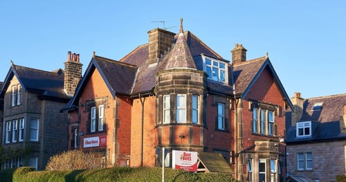 Busy Bees at Harrogate South Drive - Gallery Photo