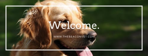 The Beacon Veterinary Associates