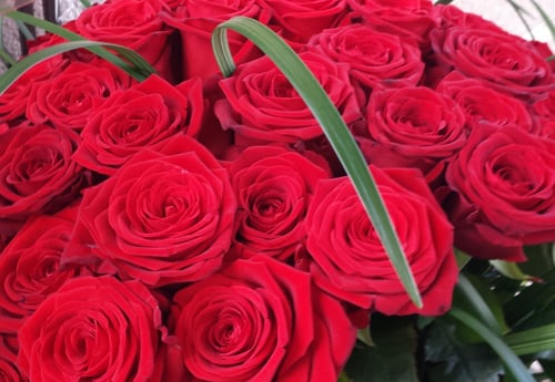 Cagna Fleurs Atelier floral et livraison - Crissier