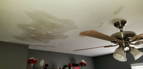 Ceiling Water Stains