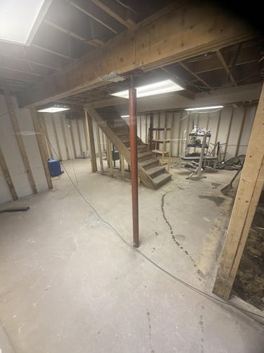 A basement post-mold remediation